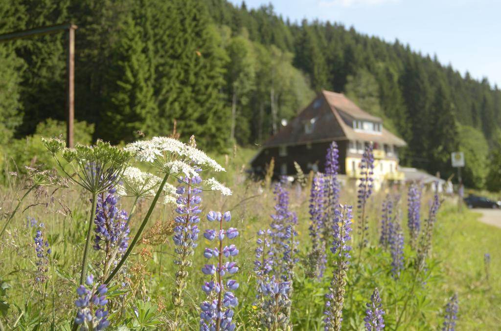 Gasthaus Hotel Loeffelschmiede Feldberg  Exterior photo